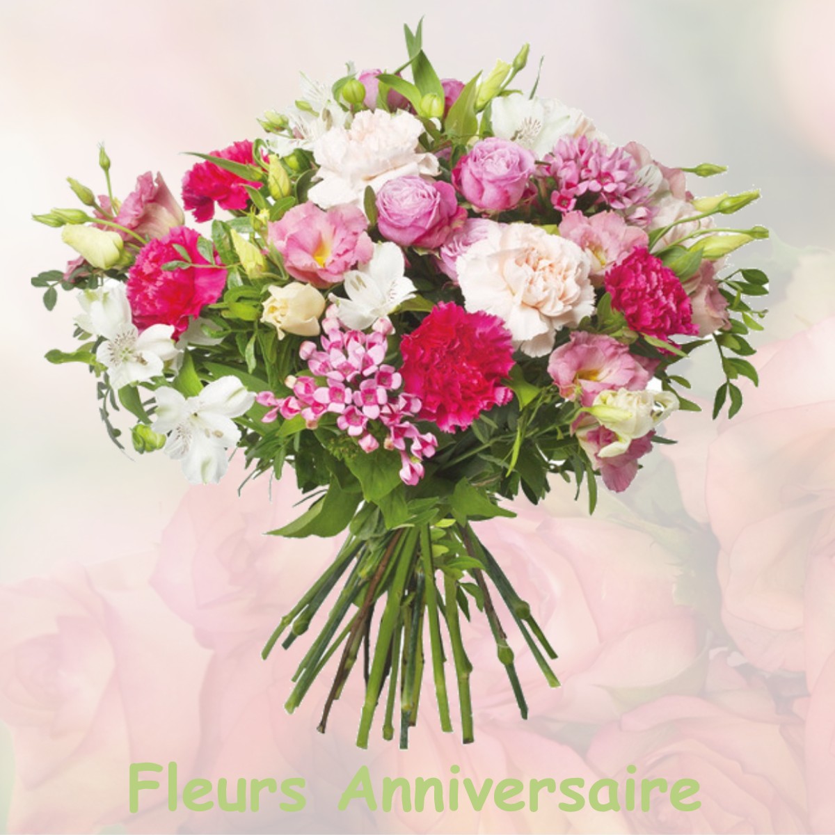 fleurs anniversaire MEZIERES-SUR-OISE